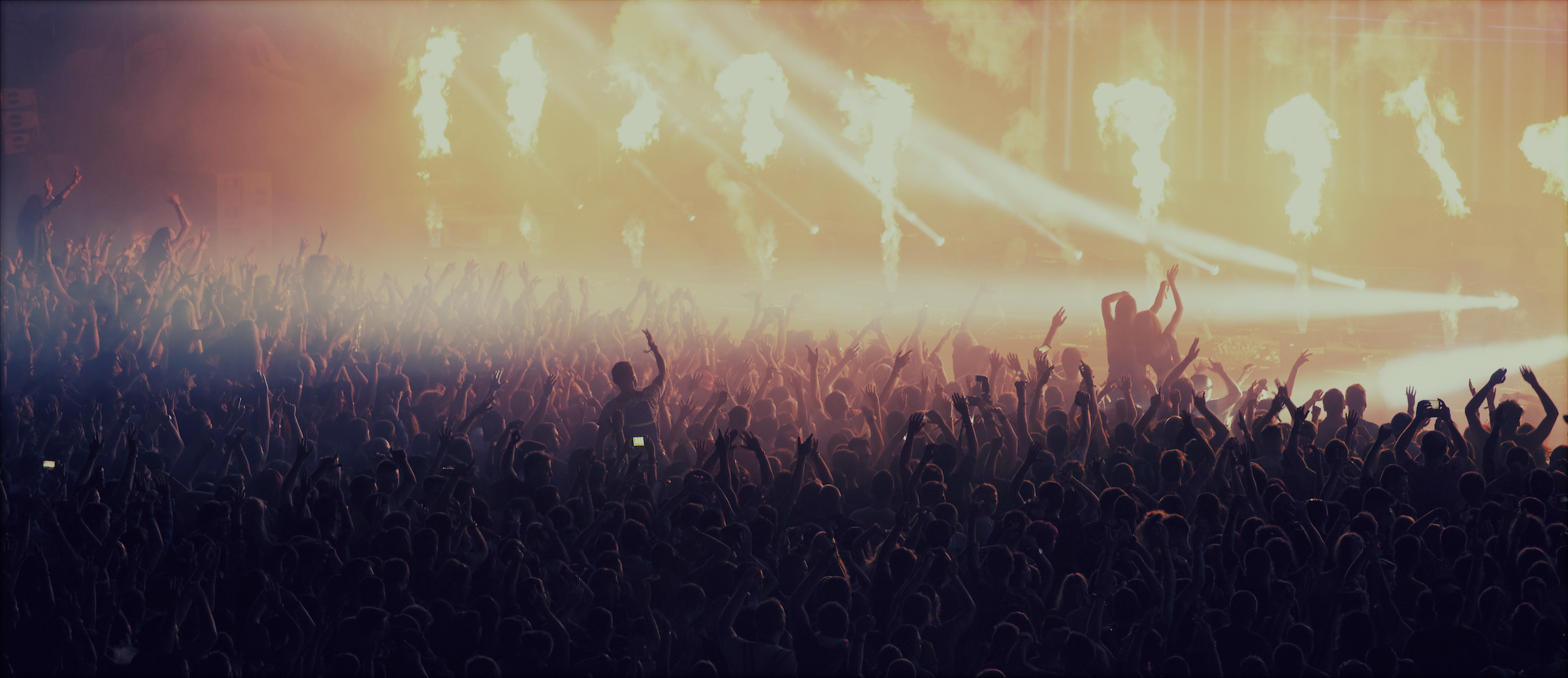 Concert crowd